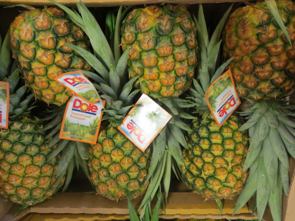 dole plantation ananas oahu hawaii