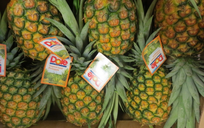 dole plantation ananas oahu hawaii