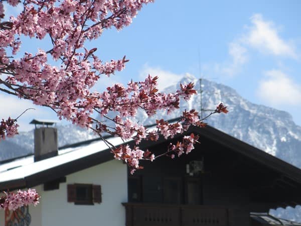 Reiseziel-April-Oesterreich-Fruehling
