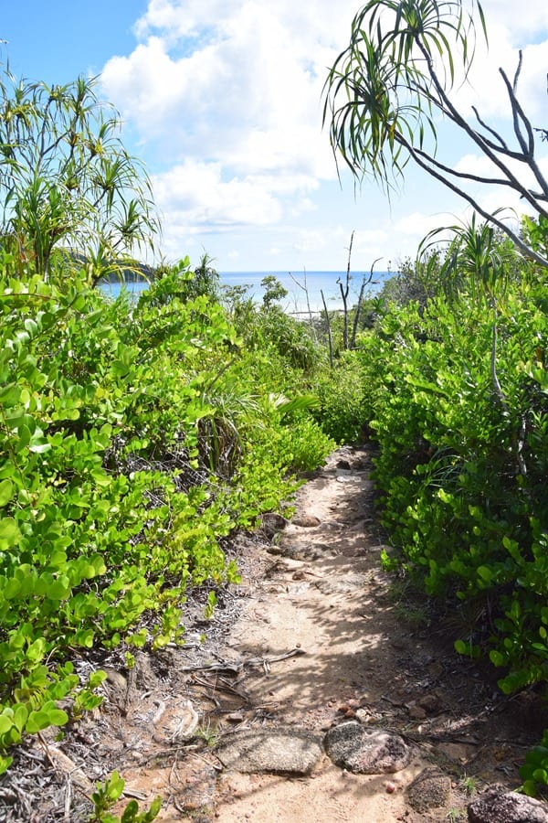 11_Wanderweg-im-Naturschutzgebiet-Marine-National-Park-Curieuse-Seychellen