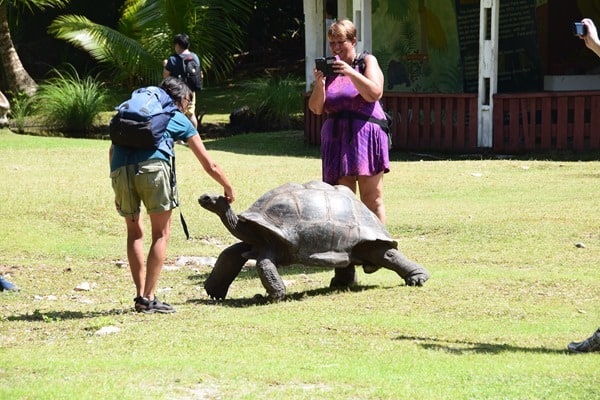 21_Riesenschildkroete-Naturschutzgebiet-Marine-National-Park-Curieuse-Seychellen