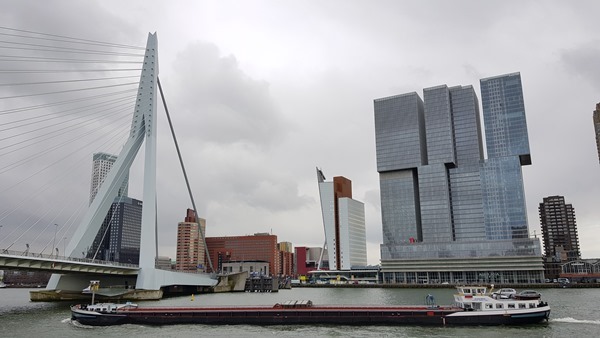 31_a-rosa-Flusskreuzfahrt-Rhein-Skyline-Rotterdam-Holland-Niederlande
