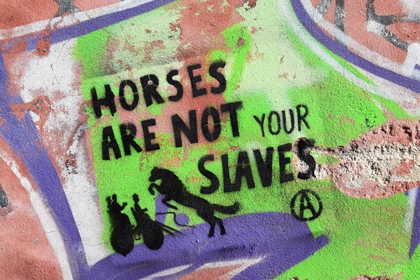 09_Horses-are-not-your-slaves-Streetart-Chania-Kreta-Griechenland