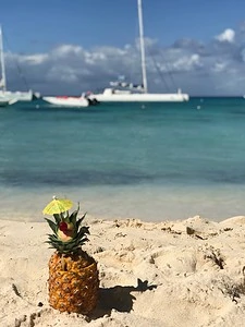 Insel Saona Dominikanische Republik Dom-Rep Urlaub Karibik Strand Ananas